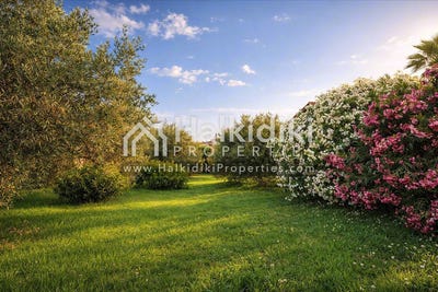 /international/gr/kassandra-macedonia-thrace-310108870703/