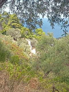 /international/gr/skopelos-thessaly-central-greece-310107650871/