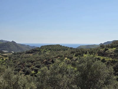 /international/gr/mariou-crete-310104249860/
