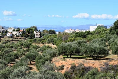 /international/gr/chania-crete-310107498902/