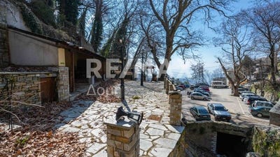 /international/gr/makrinitsa-thessaly-central-greece-310108792605/