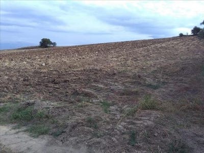 /international/gr/mikra-macedonia-thrace-310103788092/
