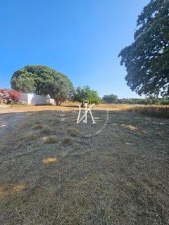 /international/gr/sgourou-aegean-310106780358/