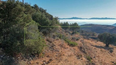 /international/gr/paros-aegean-310107026003/
