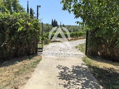 /international/gr/ancient-nemea-peloponnese-western-greece-and-ionian-310101230679/