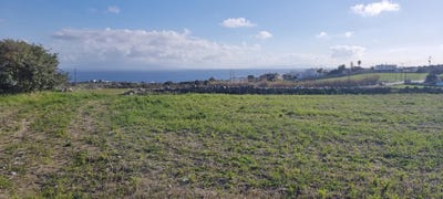 /international/gr/aspro-chorio-aegean-310100059302/