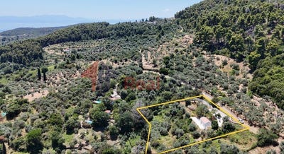 /international/gr/skopelos-thessaly-central-greece-310109781843/