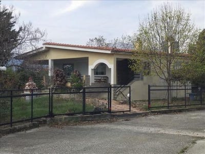 /international/gr/nikiforos-macedonia-thrace-310103787698/
