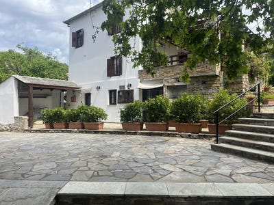 /international/gr/central-greece-afetes-pelion-thessalia-310106460088/