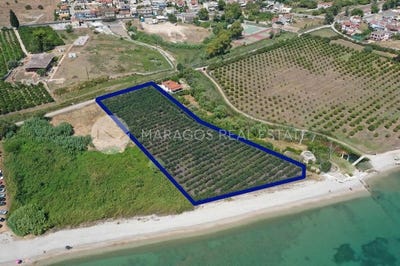 /international/gr/myli-peloponnese-western-greece-and-ionian-310106836520/