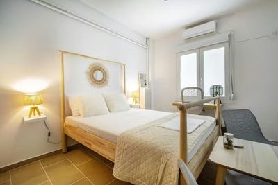 /international/gr/alektoros-athens-attica-310093822628/