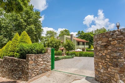 /international/gr/plokamiana-crete-310105629225/