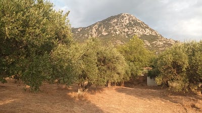 /international/gr/kiparissia-peloponnese-western-greece-and-ionian-310106576210/