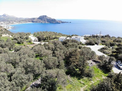 /international/gr/sellia-crete-310104250162/