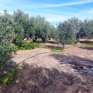 /international/gr/agathia-crete-310105688005/