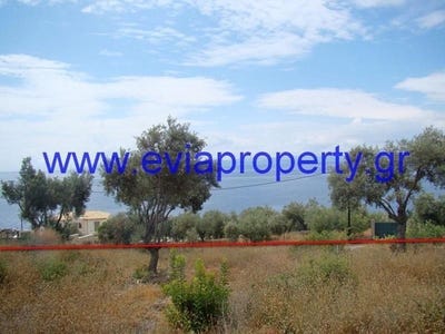 /international/gr/elia-thessaly-central-greece-310102787881/