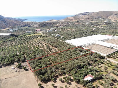 /international/gr/damnoni-crete-310106607050/