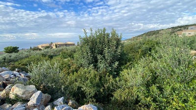 /international/gr/riglia-peloponnese-western-greece-and-ionian-310101288269/