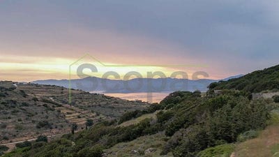 /international/gr/kostos-aegean-310107025372/