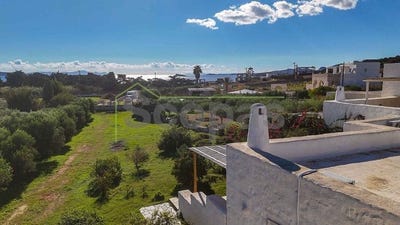 /international/gr/voutakos-parou-aegean-310107025082/