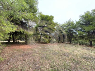 /international/gr/oinoi-thessaly-and-central-greece-310120523384/