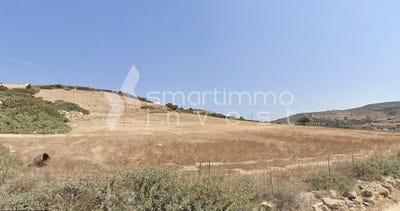 /international/gr/kampos-aegean-310119375187/