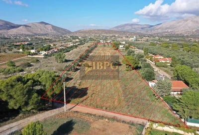 /international/gr/megala-pefka-attica-310100610703/