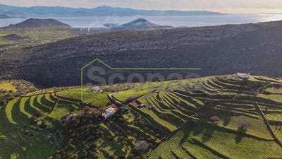 /international/gr/paros-aegean-310107026440/