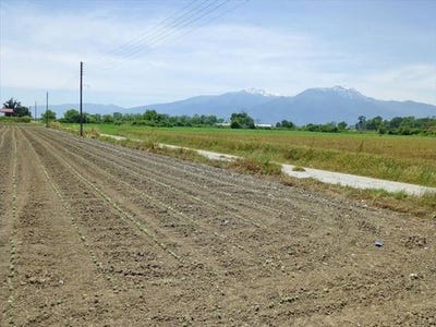 /international/gr/pieria-prefecture-makedonia-thrace-310105896990/