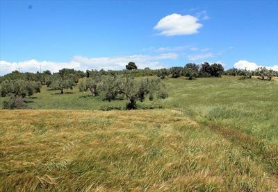 /international/gr/kassandra-macedonia-thrace-310103792379/