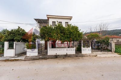 /international/gr/milina-thessaly-central-greece-310100142783/