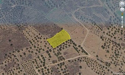 /international/gr/agios-nikolaos-thessaly-central-greece-310109021245/
