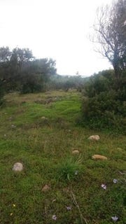 /international/gr/agkathia-makedonia-thrace-120061581609/