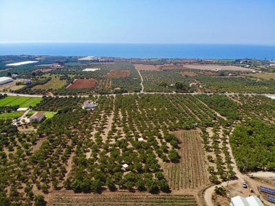 /international/gr/kiparissia-peloponnese-western-greece-and-ionian-310106576278/