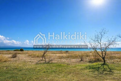 /international/gr/nea-triglia-macedonia-thrace-310108870756/