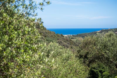 /international/gr/vrises-crete-310105421627/