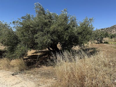 /international/gr/ierapetra-crete-310100059148/