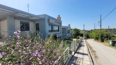 /international/gr/chortiatis-macedonia-thrace-310103731028/