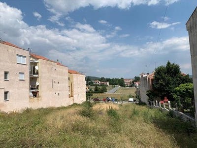 /international/gr/oreokastro-macedonia-thrace-310103785009/