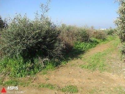 /international/gr/thermi-macedonia-thrace-310098060193/