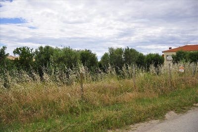 /international/gr/poligiros-macedonia-thrace-310103789257/