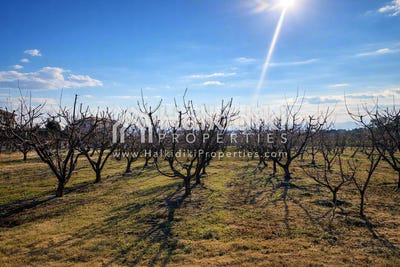 /international/gr/nea-triglia-macedonia-thrace-310108871101/
