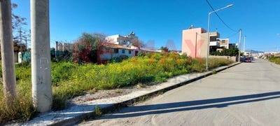 /international/gr/megara-attica-310108137850/