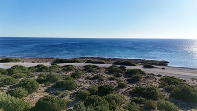 /international/gr/chania-crete-310108839205/