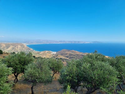 /international/gr/melabes-crete-310104250852/