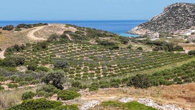 /international/gr/kampos-aegean-310107025408/