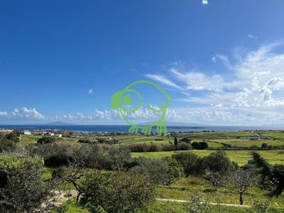 /international/gr/paros-aegean-310107582393/