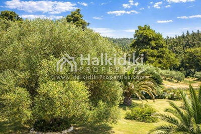 /international/gr/kassandra-macedonia-thrace-310108870934/