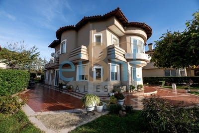 /international/gr/oreokastro-macedonia-thrace-310105791507/