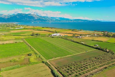 /international/gr/kalamata-peloponnese-western-greece-and-ionian-310109146025/